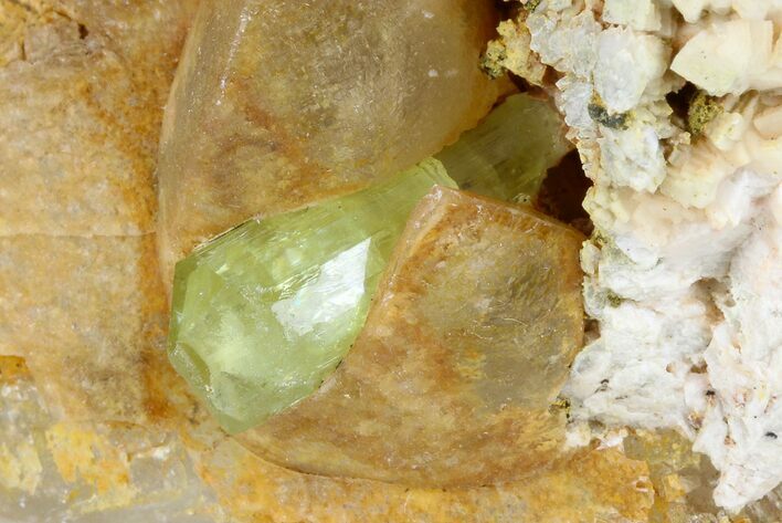 Lustrous,  Yellow Apatite Crystal on Calcite - Morocco #185471